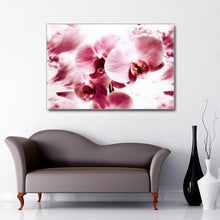 Load image into Gallery viewer, Landscape Art Canvas of close up pink orchid flowers 
