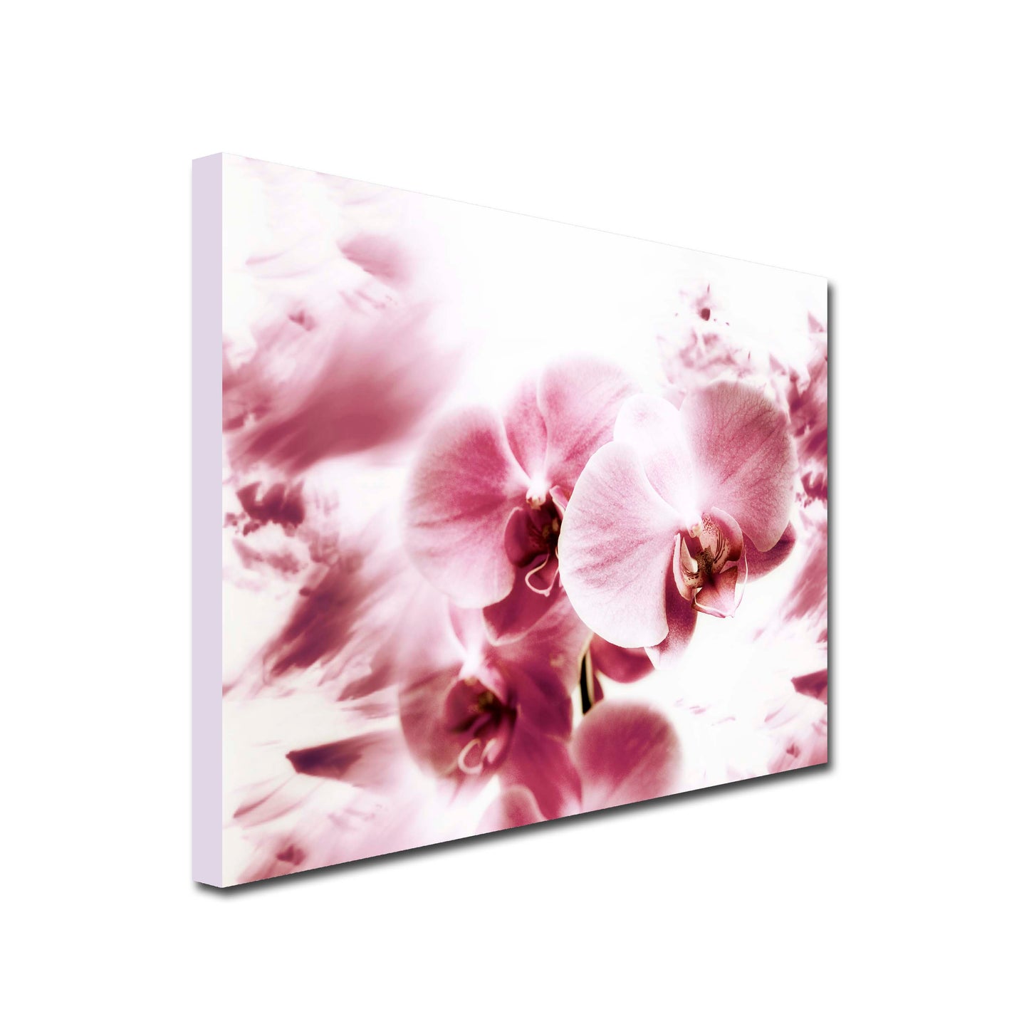 Landscape Art Canvas of close up pink orchid flowers