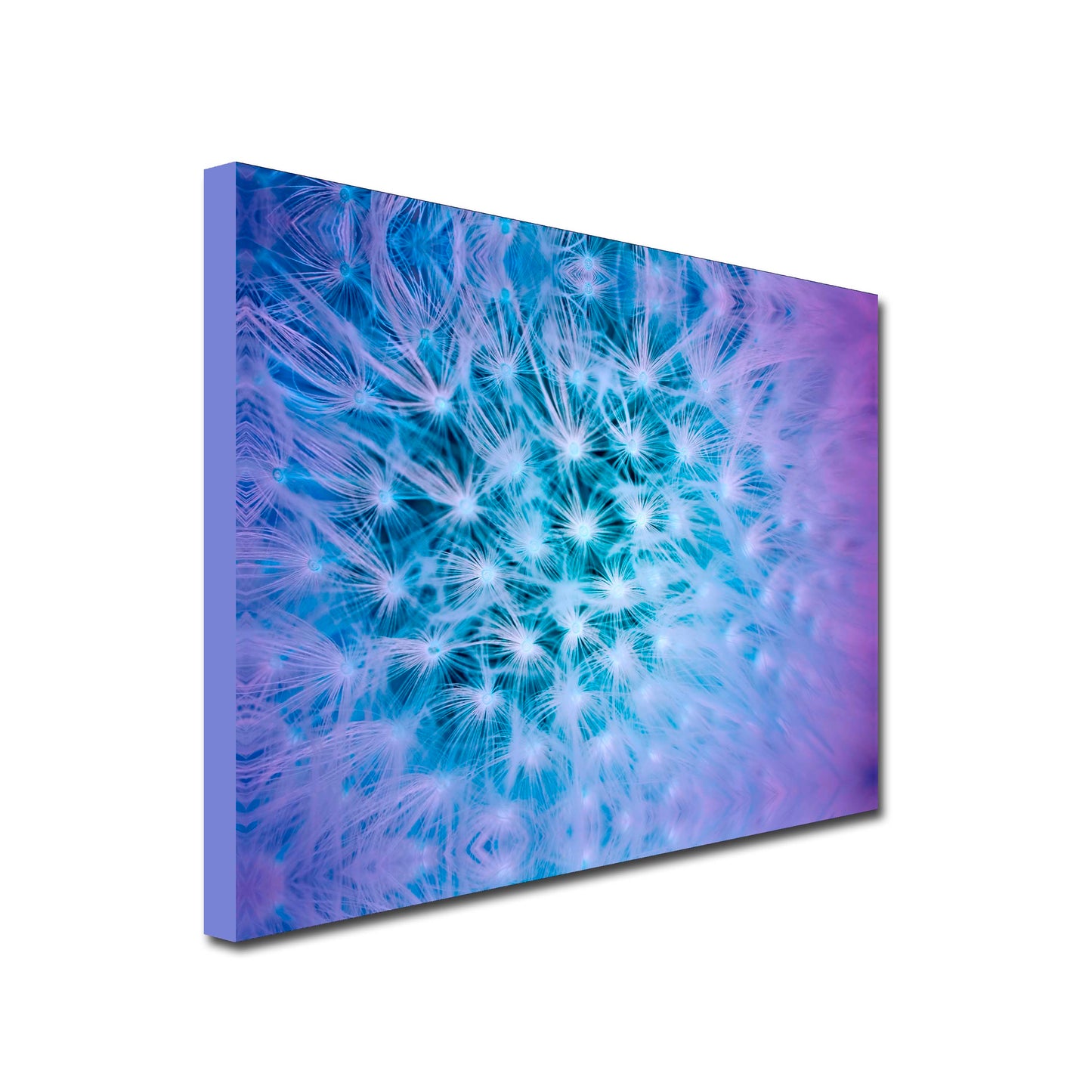 Landscape Art Canvas of close up thistle head in lilac and blue