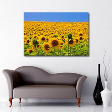 Load image into Gallery viewer, Landscape Art Canvas of Field of Yellow Sunflowers with blue sky background
