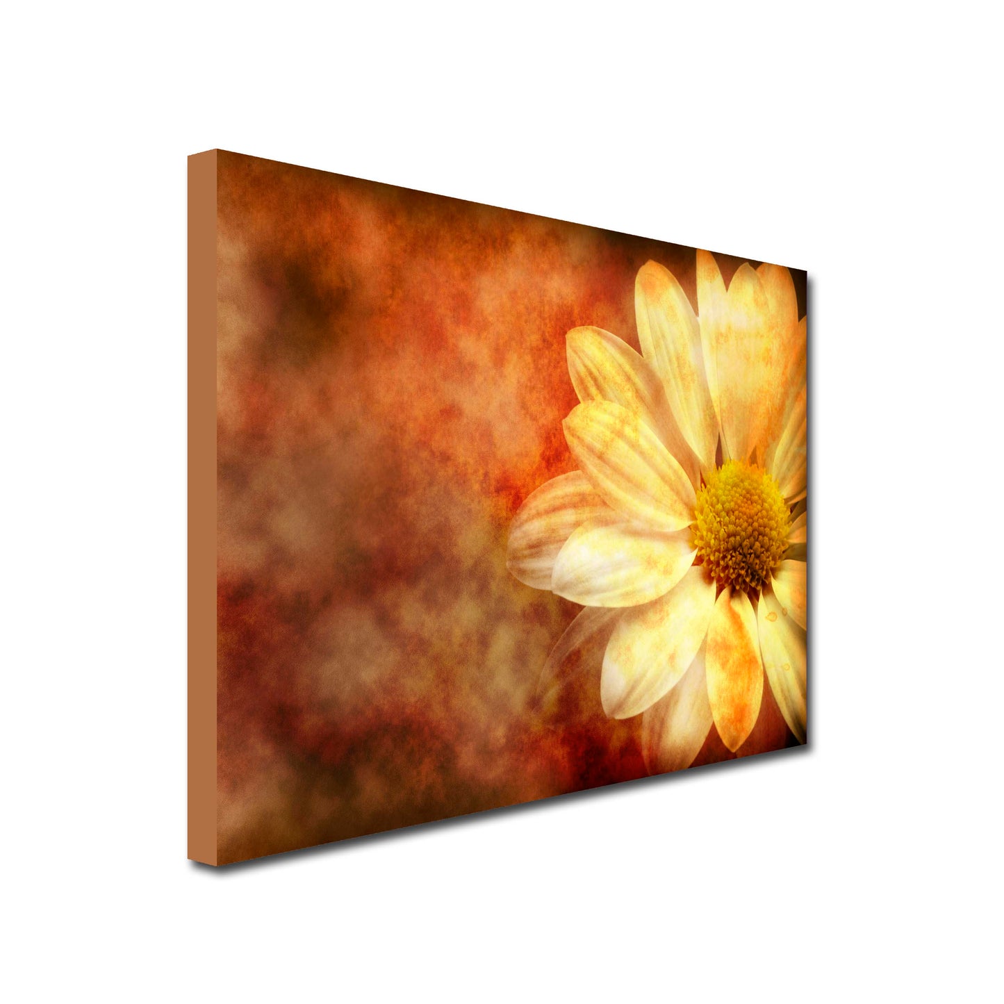Vintage Daisy Landscape Art Canvas in autumnal colours