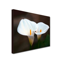 Load image into Gallery viewer, Landscape Art Canvas of close up white calla lily flowers 
