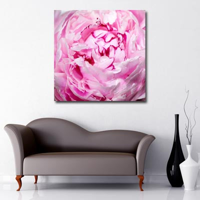 Square Canvas Art close up of two toned pink flower with with ruffled edge petals