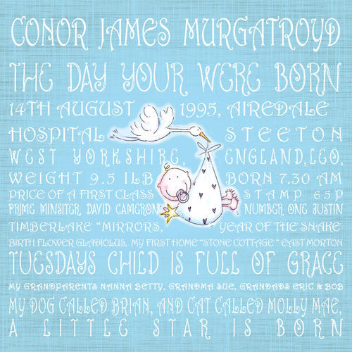 Stork Precious Cargo Birth Announcement