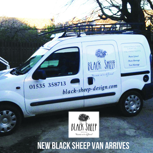 Black Sheep Van