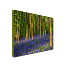 Load image into Gallery viewer, Bluebell Woods forest canvas
