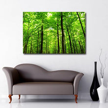Load image into Gallery viewer, green forest Art Canvas
