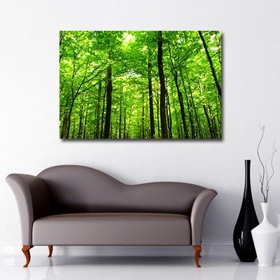 green forest Art Canvas