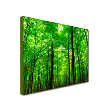 Load image into Gallery viewer, green forest Art Canvas
