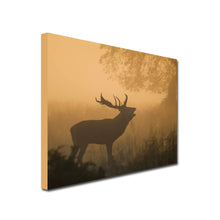 Load image into Gallery viewer, Stag at Sunrise, Art Canvas, Stag, Woodland, 
