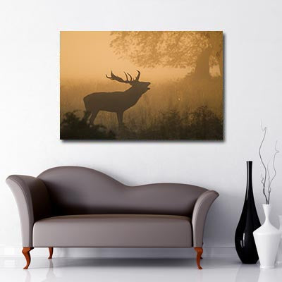 Stag at Sunrise, Art Canvas, Stag, Woodland, 