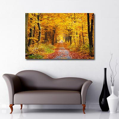 Autumn Woodland Scene, Path surrounded by yellow leaved trees