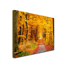 Load image into Gallery viewer, Autumn Woodland Scene, Path surrounded by yellow leaved trees
