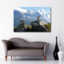 Load image into Gallery viewer, Mount Blanc Mountain with goats standing on rocks in the foreground 
