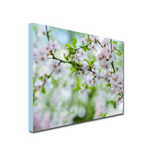 Load image into Gallery viewer, Landscape Canvas of Apple tree branch with pale pink apple blossoms
