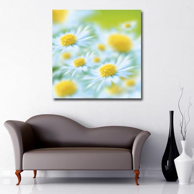 Square Canvas Art of close up of white daisy with yellow centre 