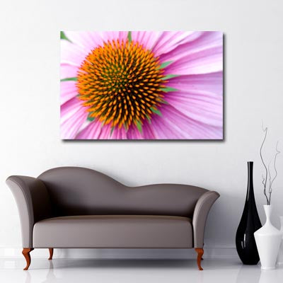 Landscape Art Canvas. Closeup of pink Gerbera flower 