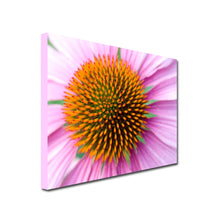 Load image into Gallery viewer, Landscape Art Canvas. Closeup of pink Gerbera flower
