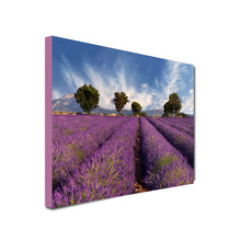 Load image into Gallery viewer, Landscape Art Canvas of Lavender fields with trees in background and cloudy, blue skies 
