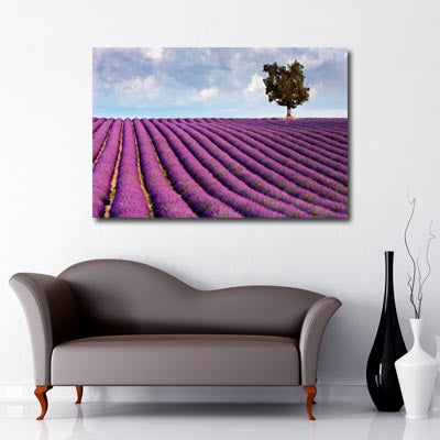 Landscape Art Canvas of Lavender fields with lone tree in background and cloudy, blue skies 