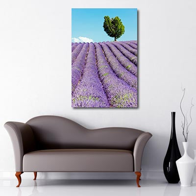 Portrait Art Canvas of Lavender field with blue sky and lone tree in the background