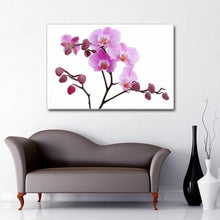 Load image into Gallery viewer, Lilac orchid branches with flowers and buds on white background
