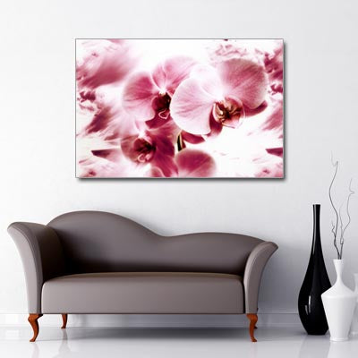 Landscape Art Canvas of close up pink orchid flowers 