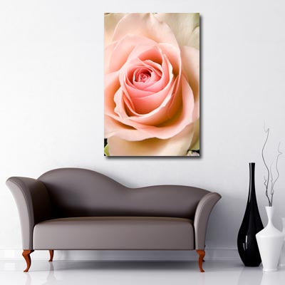 Portrait Art Canvas of close up of open peach rose petals 