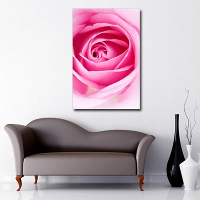 Portrait Art Canvas of close up of open pink rose petals 