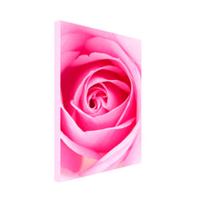 Load image into Gallery viewer, Portrait Art Canvas of close up of open pink rose petals 
