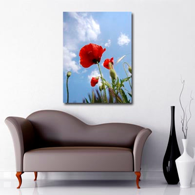 Portrait Art Canvas of Red Poppy in Field with blue sky with interspersed clouds in background