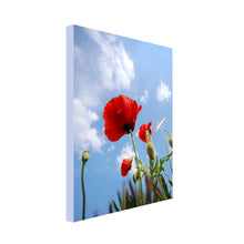 Load image into Gallery viewer, Portrait Art Canvas of Red Poppy in Field with blue sky with interspersed clouds in background
