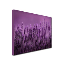 Load image into Gallery viewer, Landscape Art Canvas of close up purple lavender flowers with purple background
