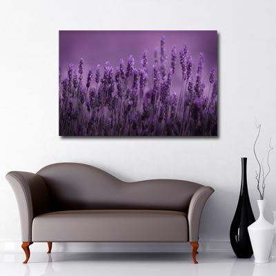 Landscape Art Canvas of close up purple lavender flowers with purple background