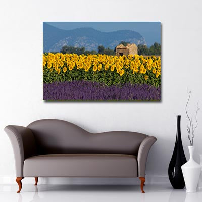 Landscape Art Canvas of Field of Yellow Sunflowers and Lavender with blue sky, hills, trees and building ruins in background
