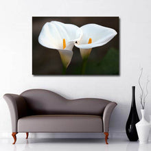 Load image into Gallery viewer, Landscape Art Canvas of close up white calla lily flowers 
