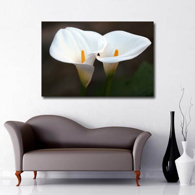 Landscape Art Canvas of close up white calla lily flowers 