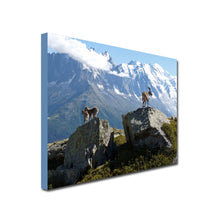 Load image into Gallery viewer, Mount Blanc Mountain with goats standing on rocks in the foreground 

