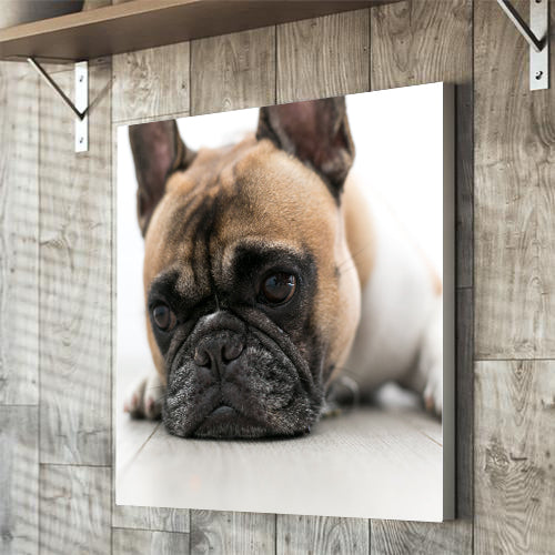 Square photo upload canvas gift